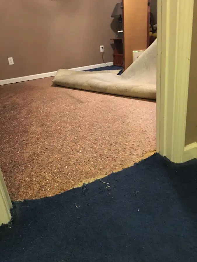 Carpet pad removal revealing water damage during Water Mitigation Services in Plainville